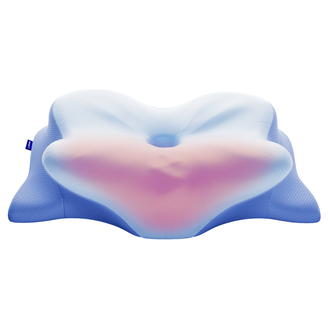 Ergonomic Contour Design 1